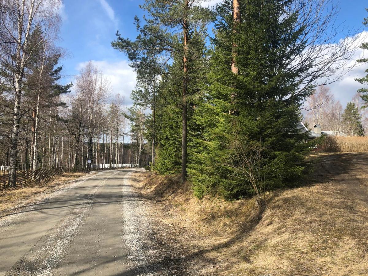 Paradiset Stugan I Fin Skogen *
