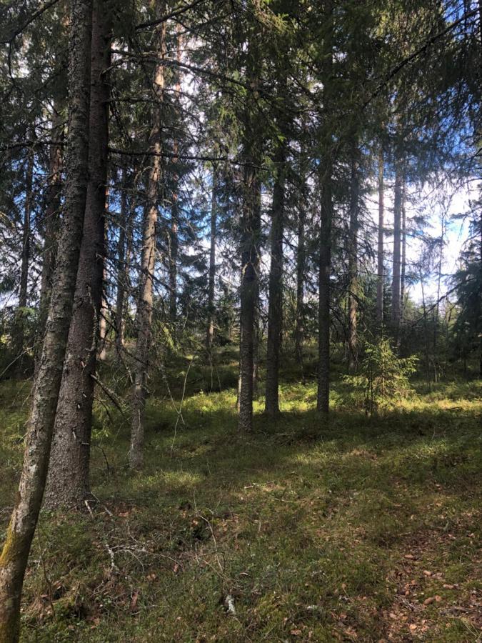 Paradiset Stugan I Fin Skogen Hallefors (Orebro)