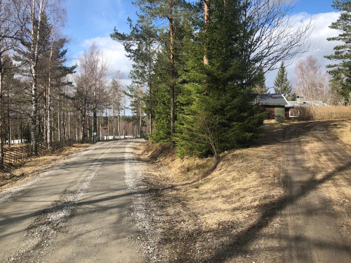 Paradiset Stugan I Fin Skogen