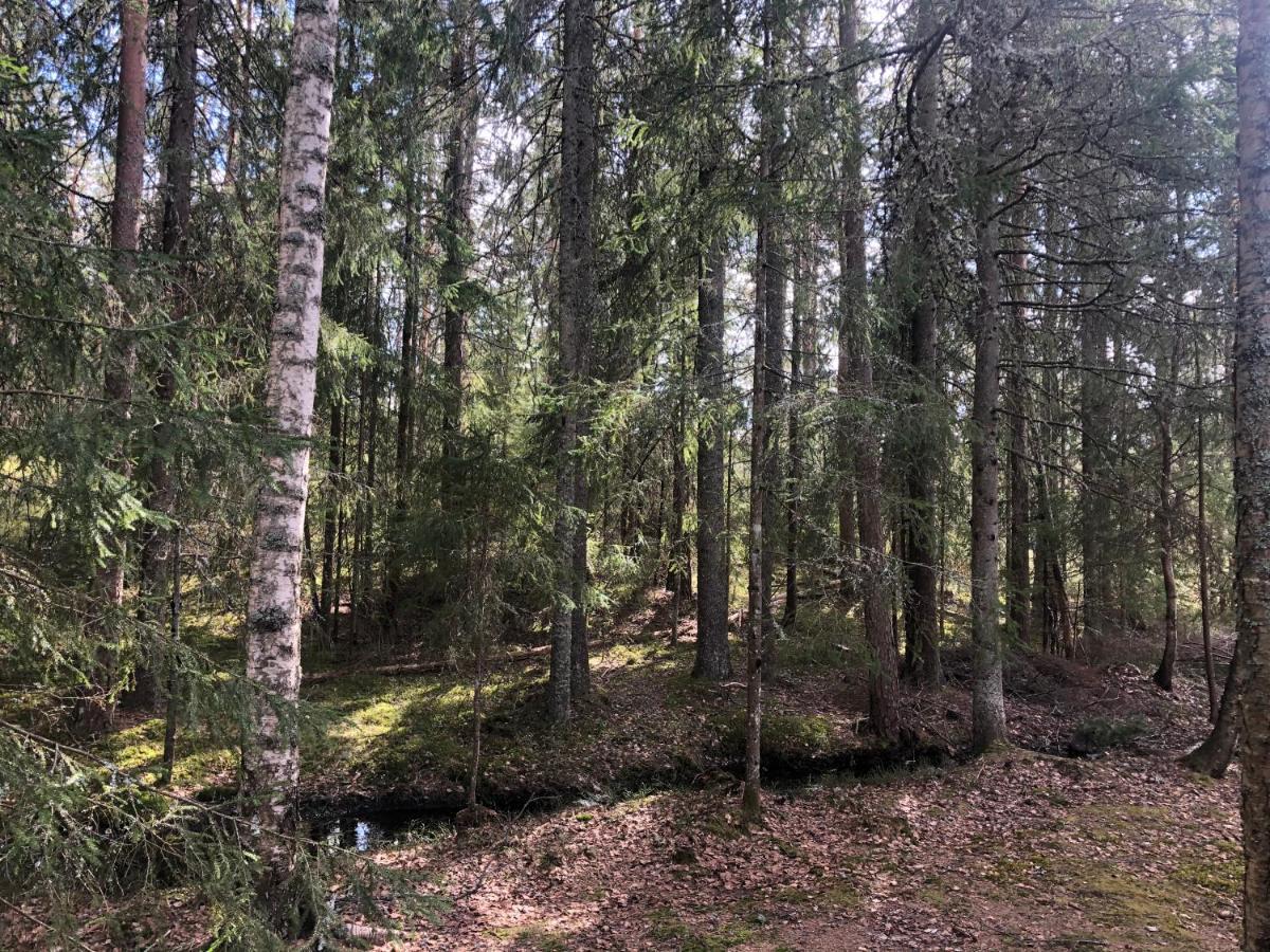 Paradiset Stugan I Fin Skogen Holiday home *