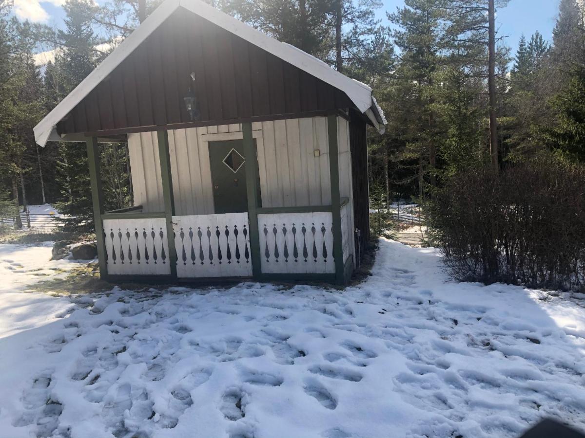Paradiset Stugan I Fin Skogen *